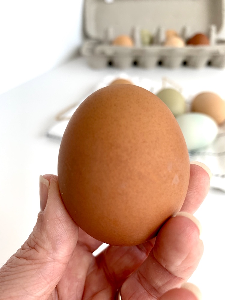 healthy nutritious brown egg 