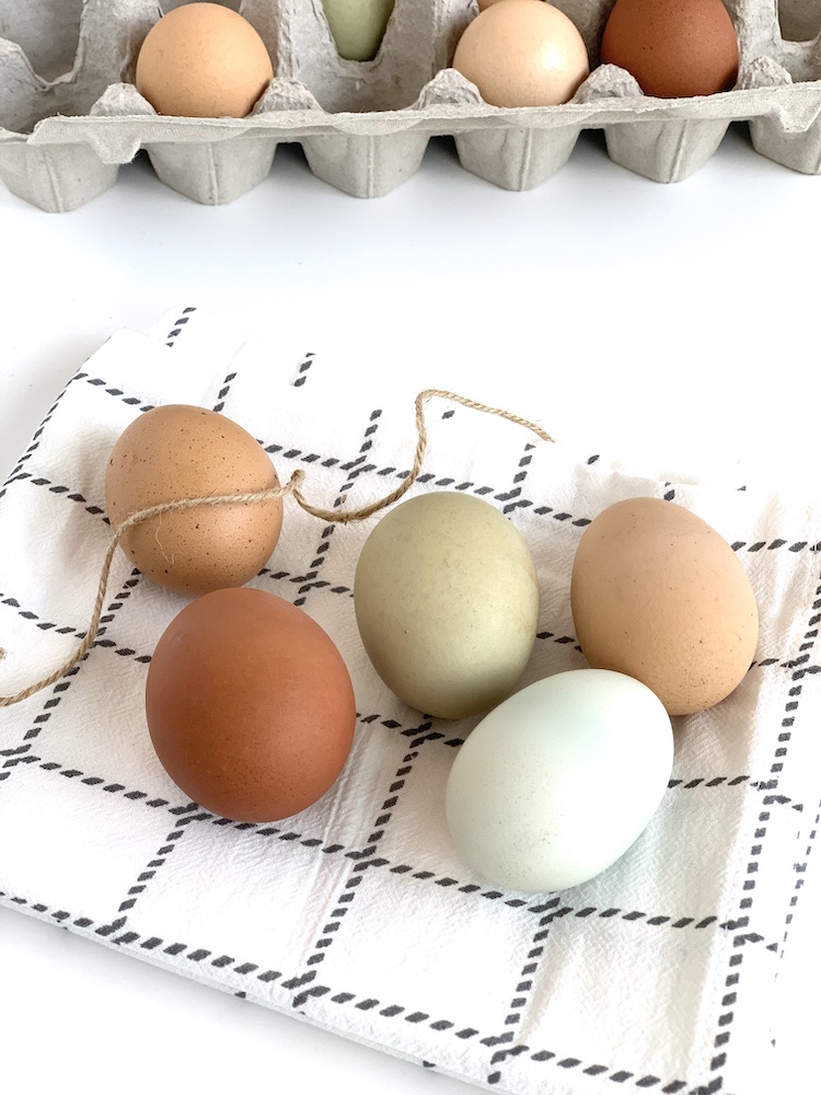 colorful farm fresh eggs from backyard chickens