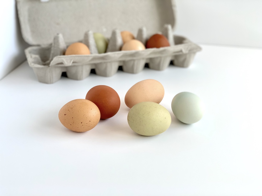 colorful eggs that are fresh from the coop