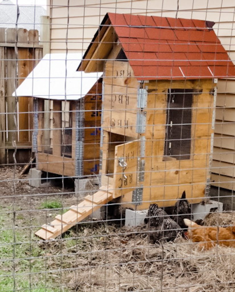 simple DIY chicken coop
